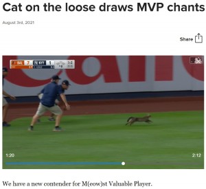 2021年8月、ニューヨーク・ヤンキース対ボルチモア・オリオールズの試合中に猫が大激走。ファンは「MVP！」と叫ぶほど大いに盛り上がっていた（画像は『MLB.com　2021年8月3日付「Cat on the loose draws MVP chants in Bronx」』のスクリーンショット）