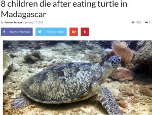 マダガスカルで2018年1月、ウミガメを食べた27人が食中毒を発症。そのうち8人が死亡していた（画像は『CGTN Africa　2018年1月17日付「8 children die after eating turtle in Madagascar」』のスクリーンショット）
