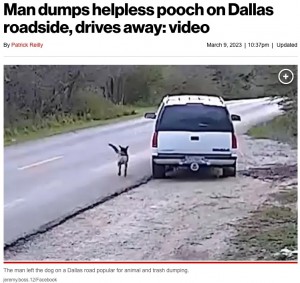 米テキサス州で今年3月、飼い犬を捨てる男の姿を監視カメラが捉えた。男は動物虐待および遺棄によるA級軽犯罪の容疑で逮捕された（画像は『New York Post　2023年3月9日付「Man dumps helpless pooch on Dallas roadside, drives away: video」（jeremy.boss.12/Facebook）』のスクリーンショット）