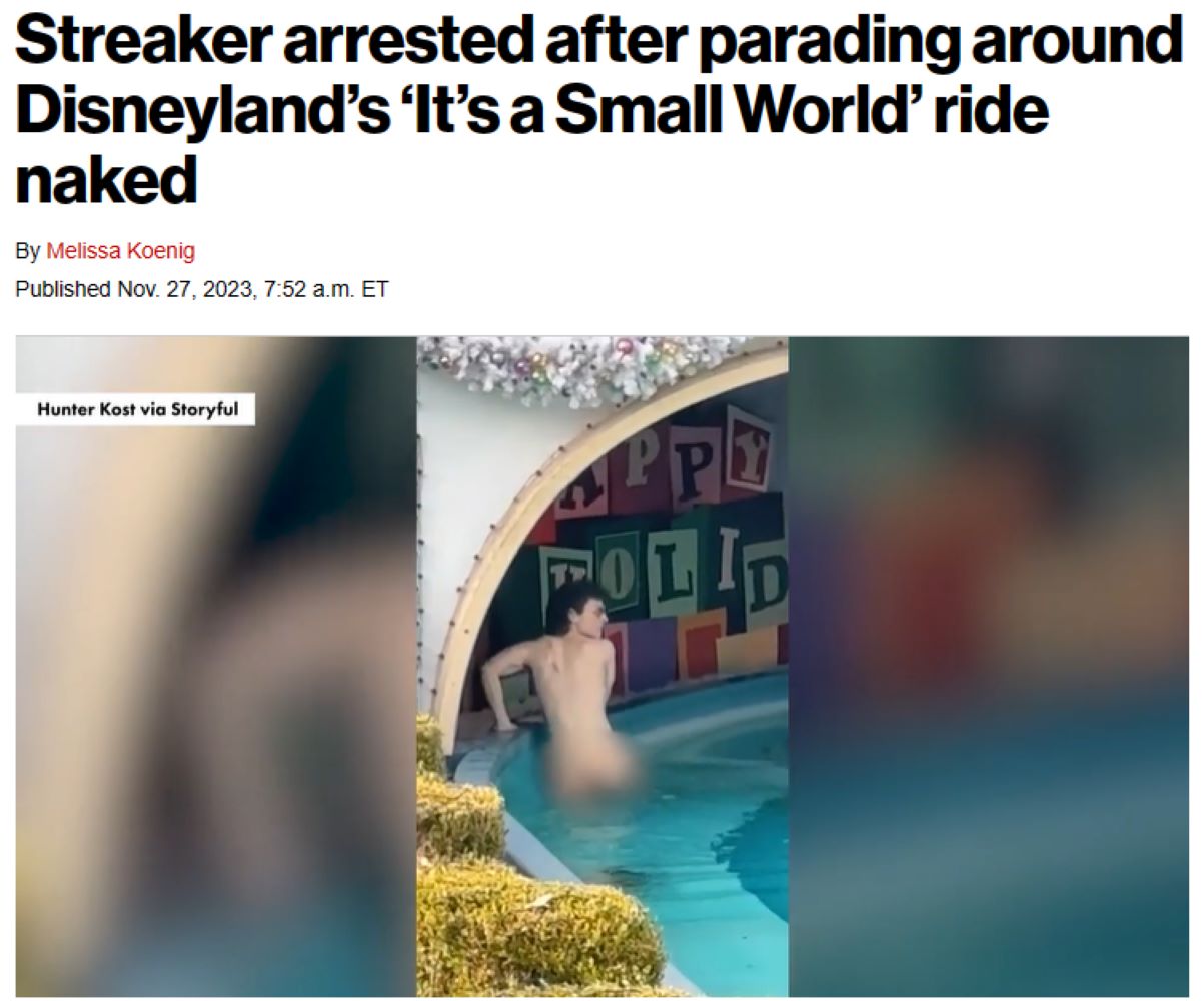 アトラクションの水路の中に全裸で入った男を見て、来園客はあきれて笑い声をあげた（画像は『New York Post　2023年11月27日付「Streaker arrested after parading around Disneyland’s ‘It’s a Small World’ ride naked」』のスクリーンショット）