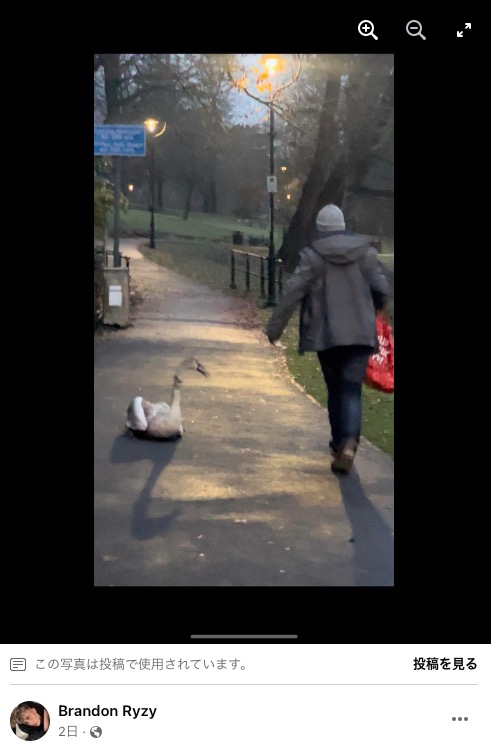 イギリスで公園内にいる白鳥の首を鷲掴みにして連れ去ろうとする男。その乱暴な行動が大きな怒りを買っている（画像は『Brandon Ryzy　2023年12月3日付Facebook「Does anybody know this man in Caerphilly town?」』のスクリーンショット）