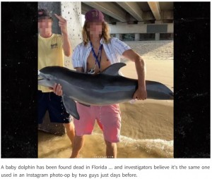 米フロリダ州の海岸で今年8月、イルカの赤ちゃんの死骸が発見された。このイルカは、SNSで拡散された写真に写る19歳の男性が抱いている個体と一致していた（画像は『TMZ　2023年8月24日付「BABY DOLPHIN FOUND DEAD After It Was Used For Instagram Photo-Op」（WJXT）』のスクリーンショット）