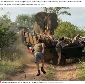 南アフリカの国立公園で2021年11月、サファリカーがオスのゾウに襲われた。ゾウはマスト期だったことから攻撃的な行動を見せたようだ（画像は『The Daily Star　2021年11月30日付「Sex-crazed elephant attacks safari car and rams it off road as students run in terror」（Image: ＠ItsGoingViral1/Jamie Pyatt）』のスクリーンショット）