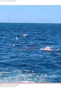 豪ニューサウスウェールズ州のビーチで2022年2月、遊泳中の35歳男性が釣り人の目の前でホホジロザメに襲われて死亡。釣り人は「体が半分に食いちぎられた」と証言していた（画像は『New York Post　2022年2月16日付「Swimmer killed by shark in horrifying attack in front of beachgoers: video」（Kharis Lianto / News Media Network）』のスクリーンショット）