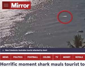 ニューカレドニアのビーチで今年2月、1人で遊泳中だった59歳男性がサメに襲われて死亡。男性は岸から150メートル付近で泳いでいたという（画像は『The Mirror　2023年2月21日付「Horrific moment shark mauls tourist to death just weeks after similar attack」（Image: 9News）』のスクリーンショット）