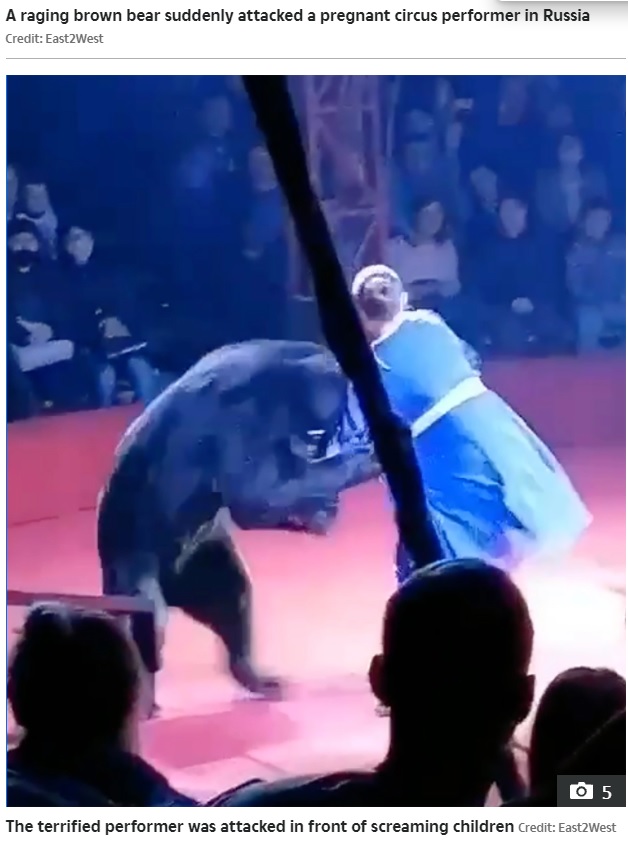2021年、露オリョール州で行われたサーカスの公演中、クマが女性トレーナーを襲う。女性トレーナーは「私が妊娠していたことに嫉妬したのかもしれない」と話していた（画像は『The Sun　2021年10月17日付「BEAR RAGE Horror moment ‘jealous’ brown bear attacks pregnant circus performer in front of screaming children」（Credit: East2West）』のスクリーンショット）