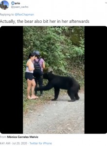 メキシコの自然公園で2020年7月、3人の女性がクマと出くわす。女性たちは始終冷静に対応して無事だった（画像は『Mario　2020年7月20日付X「Actually, the bear also bit her in her afterwards」』のスクリーンショット）