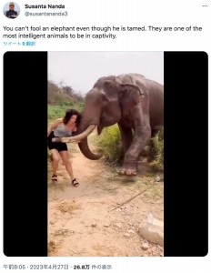 インド森林局職員が今年4月、手にバナナを持った女性と野生のゾウを捉えた動画を投稿。ゾウはバナナを使ってからかう女性を突き飛ばしていた（画像は『Susanta Nanda　2023年4月27日付X「You can’t fool an elephant even though he is tamed.」』のスクリーンショット）