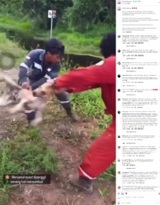 インドネシアで今年6月、2人の心無い男によって野良犬が川に投げ込まれ、瞬く間にワニの餌食となった。SNSで動画が拡散すると怒りの声が殺到した（画像は『Animals Hope Shelter　2023年6月16日付Instagram「PELAKU SUDAH NYAI KANTONGIN」』のスクリーンショット）