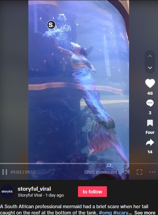 南アフリカの水族館で今年11月、水槽で人魚に扮してパフォーマンスを行っていた女性が溺れそうになるも、自ら危機を脱出していた（画像は『Storyful Viral　2023年11月30日付TikTok「A South African professional mermaid had a brief scare」』のスクリーンショット）