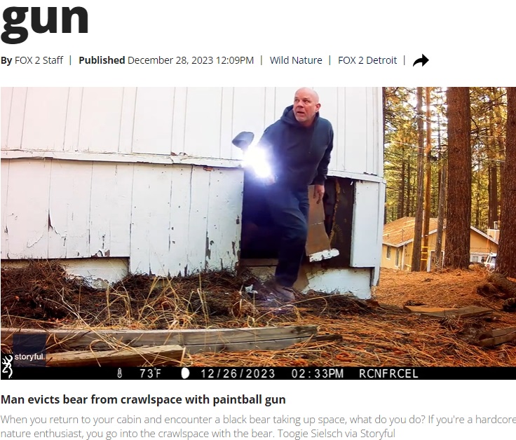 トゥーギさんは8発を発砲。穴からまず、巨大なアメリカグマが現われ逃げていった。そしてその後を追うようにトゥーギさんが出てきた（画像は『FOX 2 Detroit　2023年12月28日付「Man chases squatting black bear from crawlspace with a paintball gun」（Toogie Sielsch via Storyful）』のスクリーンショット）