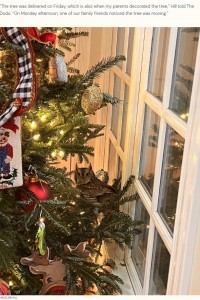 ツリーが動いたことに気づいたボビーさんが目をやると、下のほうの枝にフクロウが止まっていた。捕まえようとすると、奥のほうへ入り込んでしまったという（画像は『The Dodo　2023年12月9日付「Family Decorates Christmas Tree Then Realizes Someone Has Been Living In It For Days」（MADELINE HILL）』のスクリーンショット）