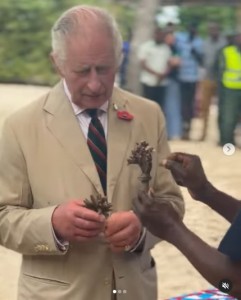 11月にナイロビを公式訪問したチャールズ国王。植物を持つ両手の指は、明らかに太いようだ（画像は『The Royal Family　2023年11月2日付Instagram「Left unchecked, global warming,」』のスクリーンショット）