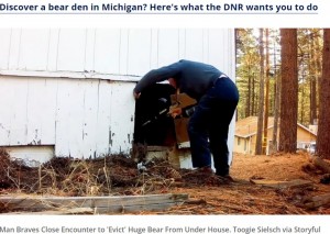 照明付きのペイントボールガン（PG）を持ったトゥーギさんが、クマが開けた穴から軒下に入り込む様子。PGとはクマ対策のがん具銃で、ゼラチンカプセルに水溶性のインクが入ったペイント弾を凍らせて使うという（画像は『FOX 2 Detroit　2023年12月28日付「Man chases squatting black bear from crawlspace with a paintball gun」（Toogie Sielsch via Storyful）』のスクリーンショット）