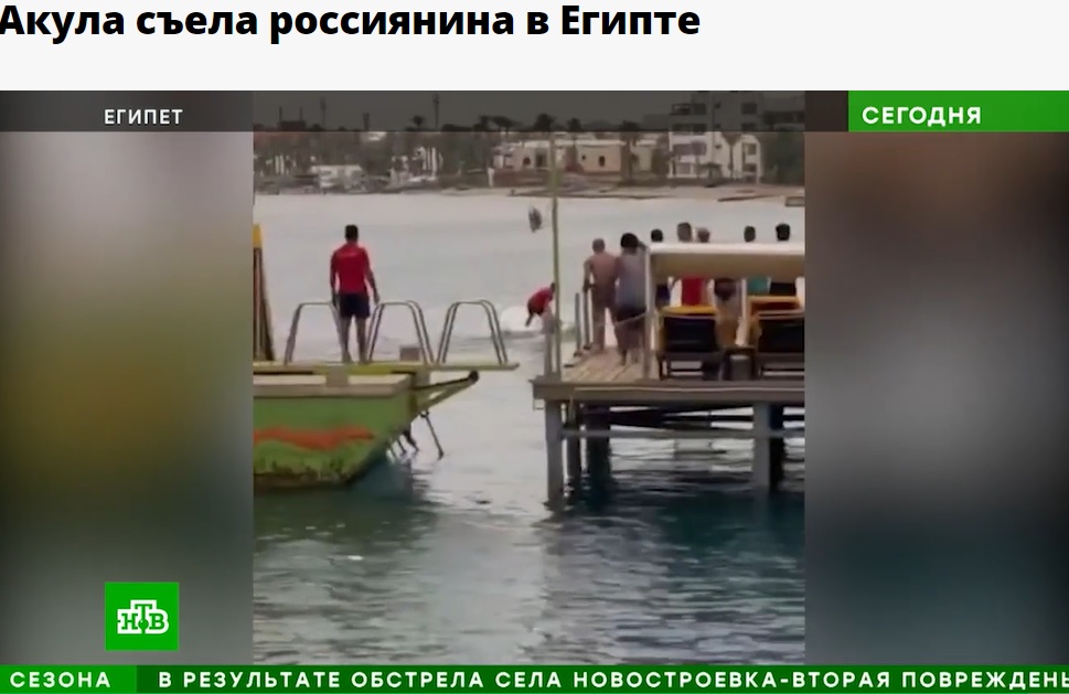 エジプトで今年6月、岸から約30メートル付近で遊泳中だった23歳男性がイタチザメに襲われて死亡。事故の様子は男性の父親を含む多くの観光客が目撃していた（画像は『НТВ.Ru　2023年6月8日付「Акула съела россиянина в Египте」』のスクリーンショット）