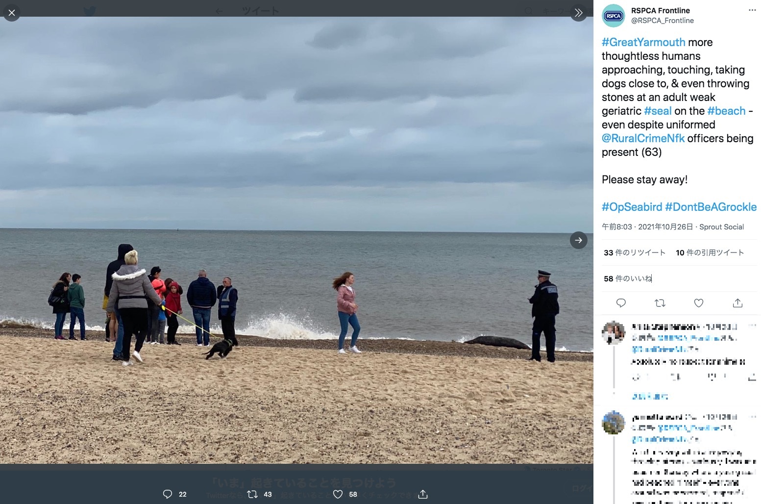 英ノーフォーク州のビーチで2021年10月、瀕死のアザラシを群衆が取り囲む姿が捉えられる。アザラシに石を投げつけたり、写真を撮ったりする者もいたという（画像は『RSPCA Frontline　2021年10月26日付X「＃GreatYarmouth more thoughtless humans approaching,」「Warning Graphic Footage」』のスクリーンショット）