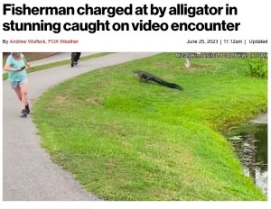 米サウスカロライナ州にある池で2023年6月、釣りをしていた男性が野生のワニに襲われそうに。ワニは猛ダッシュで男性を追いかけていた（画像は『New York Post　2023年6月25日付「Fisherman charged at by alligator in stunning caught-on-video encounter」（Micah Kimberlin/Local News X/TMX）』のスクリーンショット）