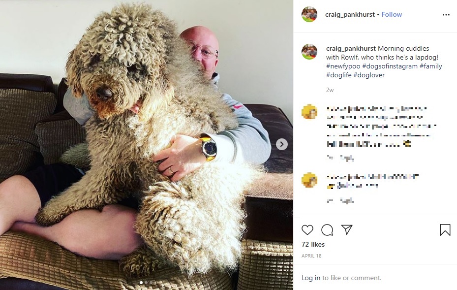英マージーサイド州在住の男性は2018年に突然脳卒中で倒れたが、その回復を助けてくれたのはハグが大好きなニューファンドランドとプードルのオスのミックス犬だった（画像は『Craig Pankhurst　2020年4月18日付Instagram「Morning cuddles with Rowlf, who thinks he’s a lapdog!」』のスクリーンショット）