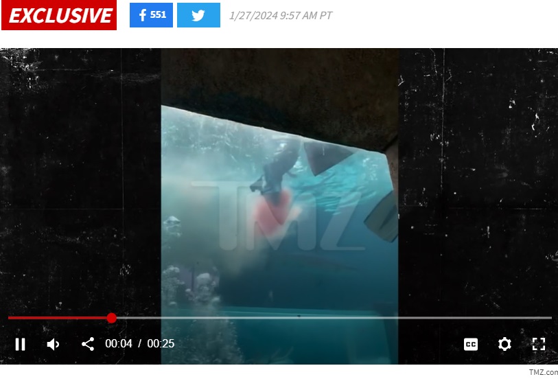 サメに突進されてバランスを崩し、右脚を噛まれた男児。出血したまま必死に浮上して泳いでおり、その後水中に飛び込んだ父親に助けられた（画像は『TMZ　2024年1月27日付「BAHAMAS SHARK ATTACK　BLOOD FROM BIT CHILD FILLS TANK...Gruesome Video Shows」（TMZ.com）』のスクリーンショット）