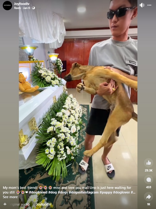 大好きだったママの告別式で棺にしがみつこうとする愛犬。フィリピンで撮影され、YouTubeに投稿された動画は多くの人の涙を誘った（画像は『Joyfoodlv　2024年1月6日付Facebook「My mom’s best friend!」』のスクリーンショット）