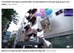インド在住のユーチューバーが2021年5月、愛犬に風船を括りつけて空へ飛ばすという動画を撮影。のちにこのユーチューバーは動物虐待とみなされ、逮捕された（画像は『The Sun　2021年5月27日付「RUFF RIDE Indian YouTuber arrested for tying balloons to pet dog to make it fly for cruel video stunt」（Credit: YouTube）』のスクリーンショット）