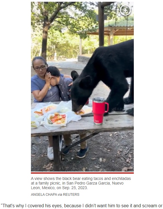 メキシコで2023年9月、ピクニックを楽しむ親子の前に現れた野生のクマ。母親はダウン症の息子が怖がらないように目を覆っていた（画像は『New York Post　2023年9月27日付「Mother bravely shields her son as bear leaps on picnic table to devour tacos and enchiladas」（ANGELA CHAPA via REUTERS）』のスクリーンショット）