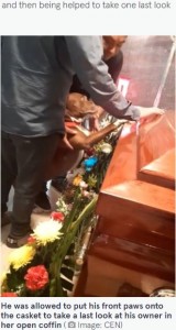 メキシコで2022年5月、亡き飼い主の棺を覗き匂いを嗅ぐ犬の姿が捉えられ、「悲しみが分かっている」といった声が届いていた（画像は『The Mirror　2022年5月15日付「Heartbreaking moment mourning dog pays final respects to owner at funeral」（Image: CEN）』のスクリーンショット）