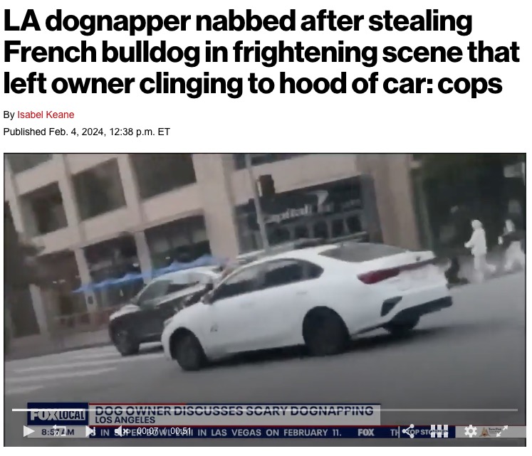 犬を誘拐した犯人らの乗用車。飼い主は必死に犬を取り戻そうとしたが…（画像は『New York Post　2024年2月4日付「LA dognapper nabbed after stealing French bulldog in frightening scene that left owner clinging to hood of car: cops」』のスクリーンショット）