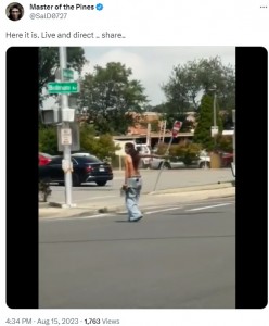 2023年8月、米ニューヨーク州のある交差点の真ん中で銃を振り回す女が現れた。警察はSUVタイプのパトカーで女をはねて取り押さえていた（『Master of the Pines　X「Here it is. Live and direct .. share..」』より）
