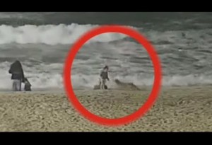 米カリフォルニア州のビーチで2022年4月、2歳女児がコヨーテに襲われる。監視カメラの映像に衝撃が広がった（『FOX 11 Los Angeles　YouTube「Coyote attacks little girl near Huntington Beach pier」』より）