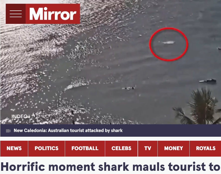 ニューカレドニアのビーチで今年2月、遊泳中だった59歳の男性がサメに襲われて死亡した。男性はオーストラリアからの観光客で、岸から150メートル付近で泳いでいたという（『The Mirror　「Horrific moment shark mauls tourist to death just weeks after similar attack」（Image: 9News）』より）
