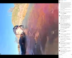 オーストラリアのビーチで2023年12月、20歳の男性がサメの急襲を受けた。男性は死を覚悟し「愛する人にサヨナラを伝えたい」とカメラを回していた（『matteo_mariotti__　Instagram「Questo video l’ho fatto partire pochi istanti dopo l’ultimo morso」』より）