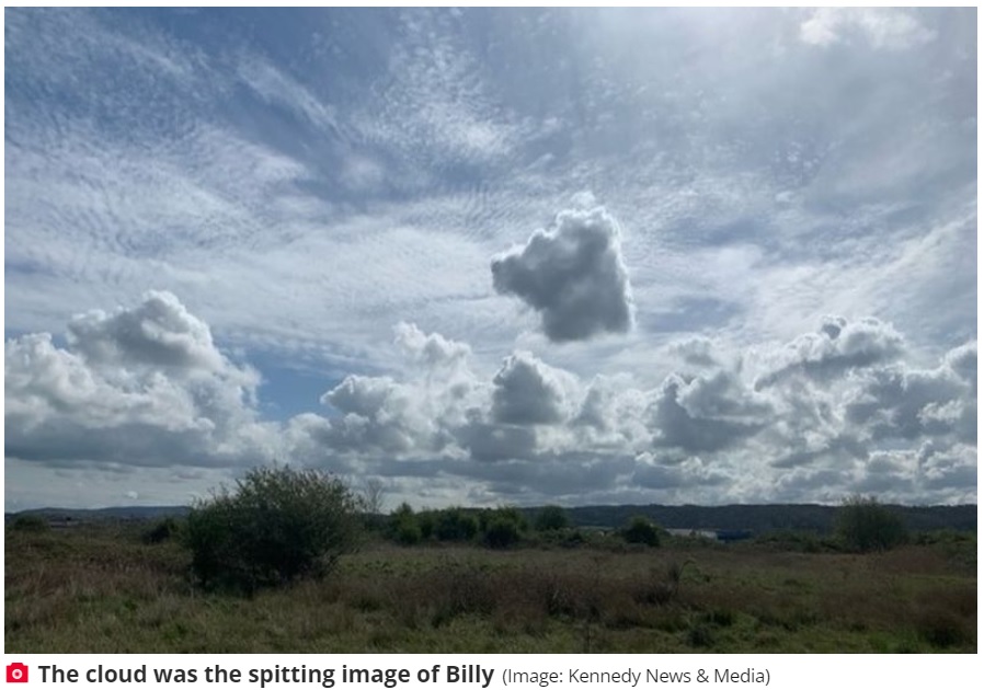 英サマセット州在住の女性は2021年5月に愛犬を亡くした。それから1年後、散歩中にふと空を見上げるとそこに愛犬の姿をした雲が浮かんでいた（画像は『The Daily Star　2022年5月3日付「Dead dog sends message to owners - by appearing in a cloud」（Image: Kennedy News ＆ Media）』のスクリーンショット）