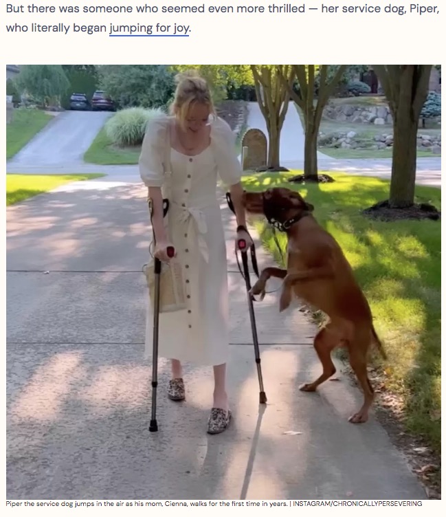 米ミシガン州で車椅子生活の飼い主を支える介助犬。2022年8月、飼い主が数年ぶりに歩く姿をSNSに投稿したところ、犬はその姿に嬉しさで興奮していた（『The Dodo　「Service Dog Jumps For Joy When He Sees Mom Finally Walk Again」（IMAGE:INSTAGRAM/CHRONICALLYPERSEVERING）』より）