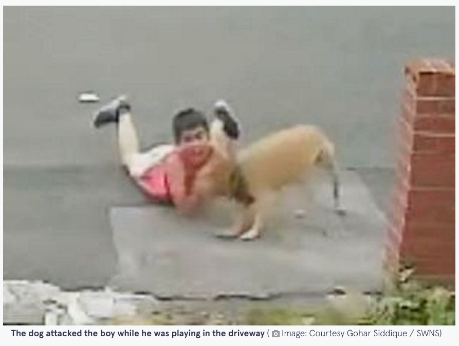 2023年9月、英ウェスト・ミッドランズに住む10歳少年自宅前でサッカーボールを蹴って遊んでいたところ、突然やってきた犬に襲われて大怪我をした（『The Mirror　「Boy, 10, mauled by out-of-control dog in Walsall as he plays football outside home」（Image: Courtesy Gohar Siddique / SWNS）』のスクリーンショット）