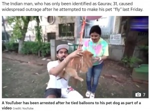 インド在住のユーチューバーが2021年5月、愛犬に風船を括りつけて空へ飛ばすという動画を撮影。のちにこのユーチューバーは動物虐待とみなされ、逮捕された（『The Sun　「RUFF RIDE Indian YouTuber arrested for tying balloons to pet dog to make it fly for cruel video stunt」（Credit: YouTube）』のスクリーンショット）