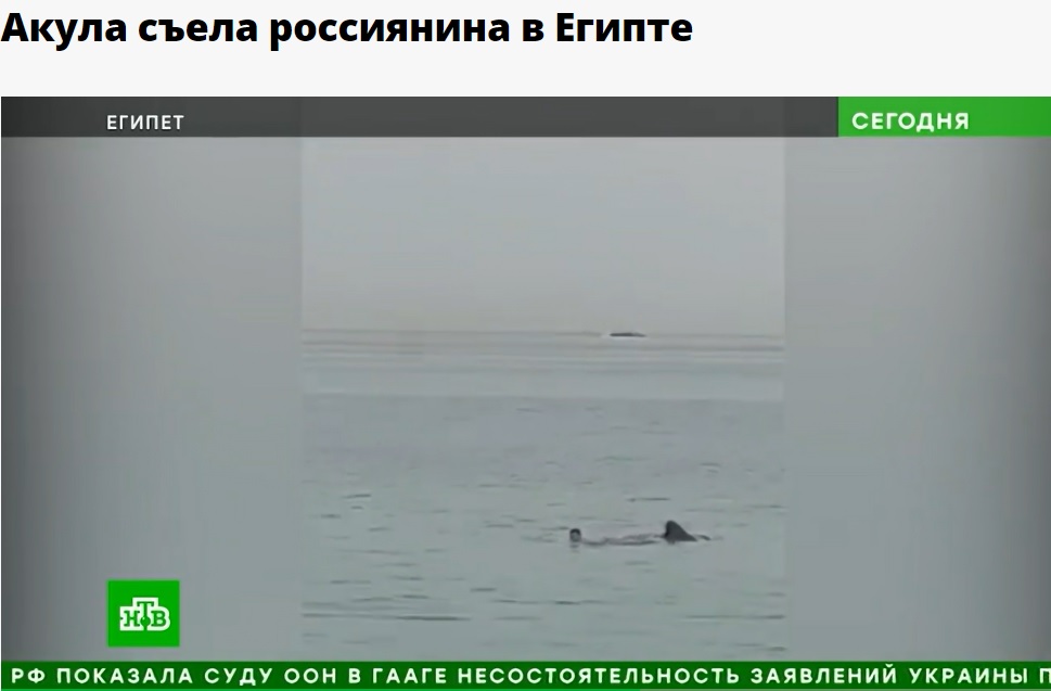 エジプトの人気リゾート地ハルガダで2023年6月、遊泳中だったロシア人男性（23）がイタチザメに襲われて死亡した。非情にも事故は父親の目前で起きていた（画像は『НТВ.Ru　2023年6月8日付「Акула съела россиянина в Египте」』のスクリーンショット）