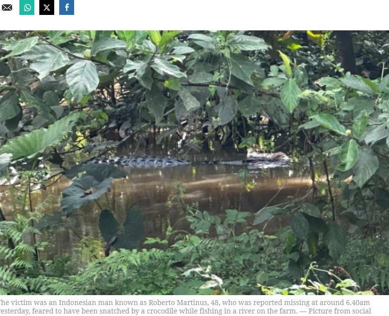 8日午後5時45分頃、釣りをしていた場所から約3キロ離れた川の中でワニを発見した捜索隊。ワニが脚の一部をくわえているのが見て取れる（『Malay Mail　「Kinabatangan police fire 12 shots at croc before reptile frees what’s left of victim」（Picture from social media）』より）