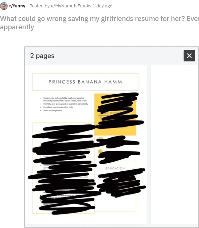 2020年12月、就活に失敗し続ける女性のミスがSNSに投稿されて話題に。女性は履歴書の氏名欄に「プリンセス・バナナ・ハン」とふざけた名前のままだったことに気付かなかったという（画像は『reddit　2020年12月29日付「What could go wrong saving my girlfriends resume for her? Everything apparently」』のスクリーンショット）