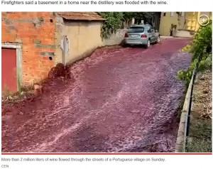 ポルトガルのワイン醸造所で2023年9月、貯蔵タンクが崩壊。人口2000人ほどのポルトガルの小さな村で、紅い液体が勢いよく流れる驚きの光景が撮影された（『New York Post　「600,000 gallons of red wine flow through Portuguese town after spill, triggering environmental warning」（CEN）』より）