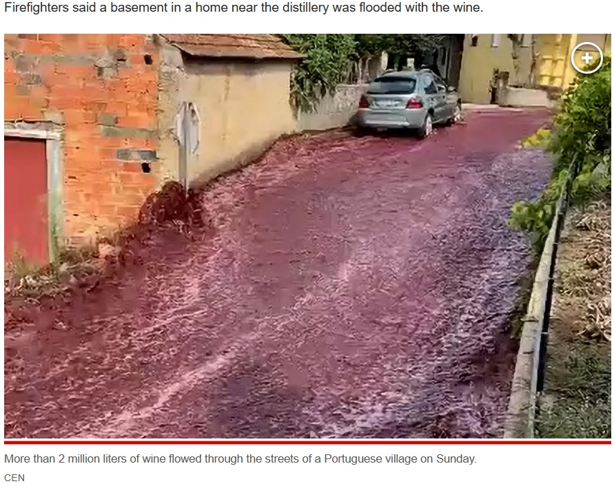 ポルトガルのワイン醸造所で2023年9月、貯蔵タンクが崩壊。人口2000人ほどのポルトガルの小さな村で、紅い液体が勢いよく流れる驚きの光景が撮影された（『New York Post　「600,000 gallons of red wine flow through Portuguese town after spill, triggering environmental warning」（CEN）』より）