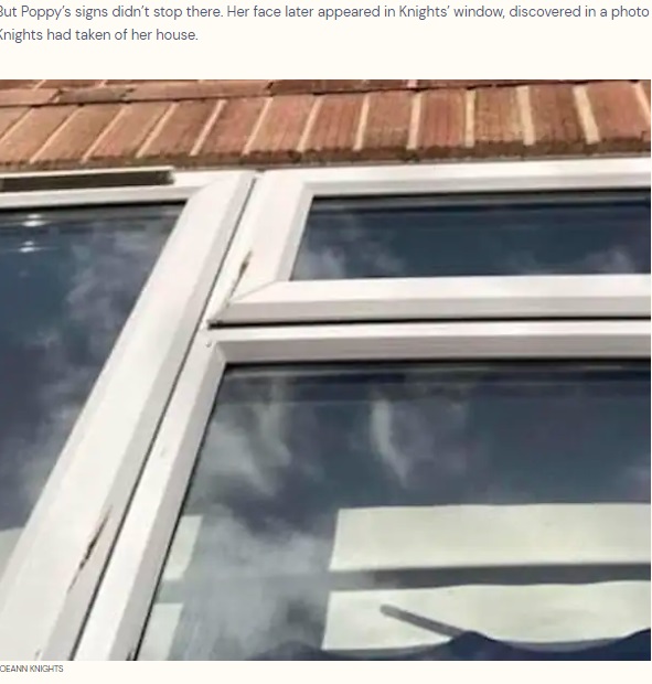不思議な現象はさらに続き、自宅の窓にポピーの顔が現われた。ジョアンさんは思わず、家の外から写真を撮ったという（画像は『The Dodo　2024年1月31日付「Loyal Dog Sends Her Grieving Mom Signs From Across The Rainbow Bridge」（JOEANN KNIGHTS）』のスクリーンショット）