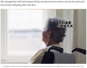 中国在住の女性が、4億円を超える財産をすべて愛犬や愛猫に相続させるとした遺言を作成。体調を崩した際に誰も面倒を見に来てくれなかったことから、女性は唯一の癒しとなったペットたちに財産を残すことを決めたという（『South China Morning Post　「Fortune cats and dogs: elderly China woman leaves US＄2.8 million assets to beloved pets instead of children who never visited even when she was ill」（Photo: Sina）』より）