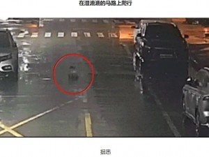 男児は画面右端の歩道から現れるとキョロキョロと見回し、道路を斜めに突っ切った。そしてちょうどそこを車で通りかかったウーさんが保護した（『搜狐网　「惊险！6个月婴儿雨夜独自爬上马路，幸好……」』より）