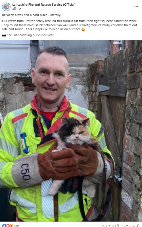 狭い壁の間に挟まれ、身動きが取れなくなっていたところを救出された猫。消防隊員に抱かれていたが、どこか不満な様子だった（『Lancashire Fire and Rescue Service（Official）　Facebook「Between a wall and a hard place - literally!」』より）