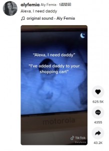 米コネチカット州のある母親が2021年2月、2歳息子とAIスピーカーのやりとりをSNSに投稿。ショッピングリストに「パパ」が追加されていた（『Aly Femia　TikTok「Alexa, I need daddy」』より）