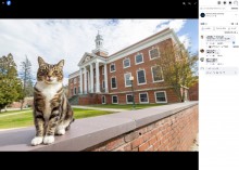 【海外発！Breaking News】看板猫に学位の授与　大学のユニークな対応に「猫に学位を抜かされた」と笑いの声（米）