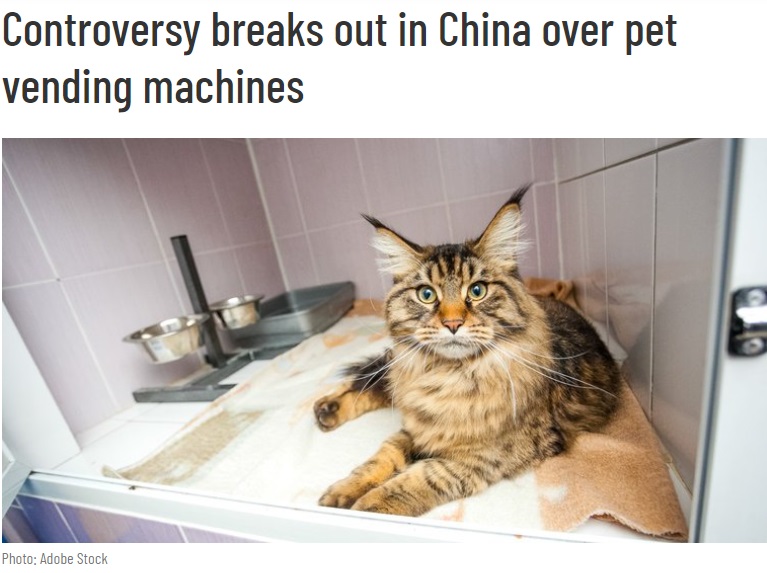 中国の北京で最近、猫を陳列した自動販売機の写真や動画がSNSで拡散。「動物虐待」と非難の声が殺到している（『Vending Times　「Controversy breaks out in China over pet vending machines」（Photo: Adobe Stock）』より）