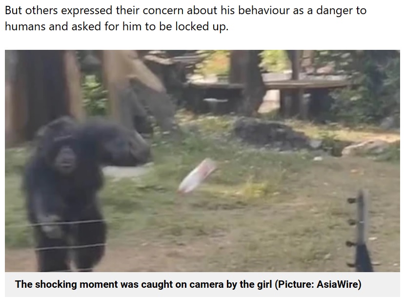 中国の南寧動物園で飼育されているチンパンジーが2023年、囲いの中にあったペットボトルを手にするとカメラに向かって勢いよく投げつけていた（『Metro　「Watch ape launch water bottle at young girl after she tried to video him」（Picture: AsiaWire）』より）