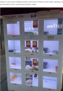 問題の自販機には、12の陳列ケースがあり、猫たちはそれをさらに2つに仕切った狭い空間に押し込められ、心なしかぐったりしているようであった（『Oddity Central　「Self-Service Pet Vending Machines Spark Outrage in China」』より）